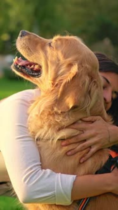 Woman Hugging Her Golden Retriever in Park at Sunset