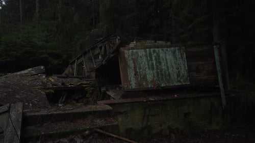 Decay Claims Beauty Overgrown Machinery And Rusted Containers Tell Stories Of Neglect Silent Forest