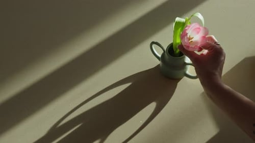 Tulip beautiful arranged in a handcrafted vase, beautifully showcased against a backlit countertop