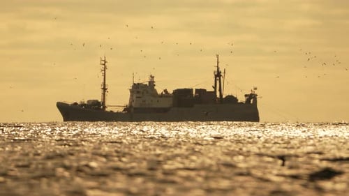 Abstract Sea Ocean Sunset Nature Background with Seagulls and Fishing Boat Trawler Catches Fish