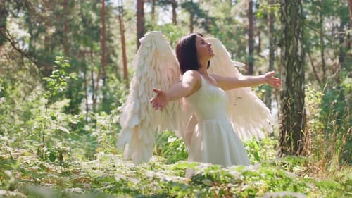 Forest Guardian Fairy With White Wings Embracing Warm Sunlight