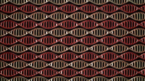 Gold and Red DNA molecules move in a loop in 4K