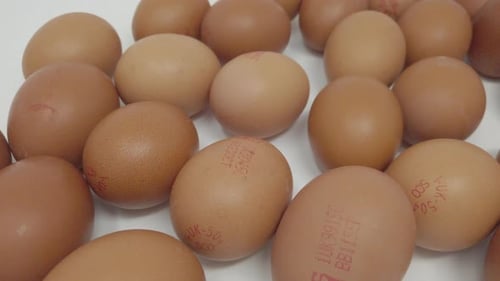 Free range eggs.
For the uk market.
