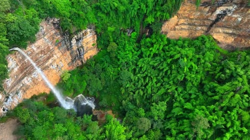 Aerial View of a Waterfall in Tropical Jungle