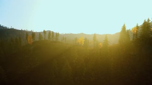 L'aube paisible révèle un paysage, une douce lumière matinale, un environnement