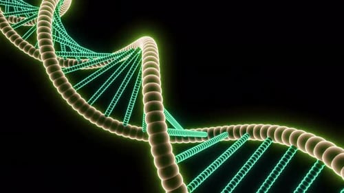 Digital Illustration of the DNA Structure Double Helix