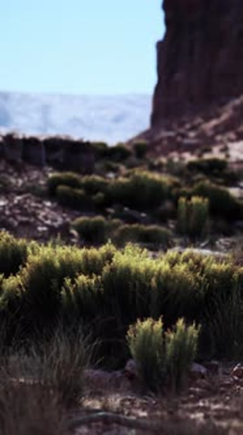 Massive Rock Formation in Nevada Desert