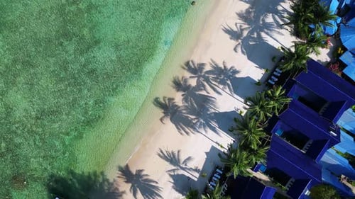 Tropical island bay Coconut palm tree shade beach, turquoise clear water. Magic aerial top view flig