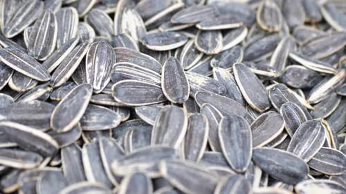 Close Up of Black and White Sunflower Seeds