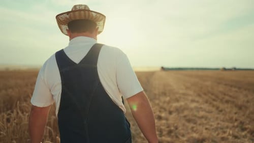 Rural Life Man Walking in Beautiful Agricultural Field in Summer Day Back View Farmland with