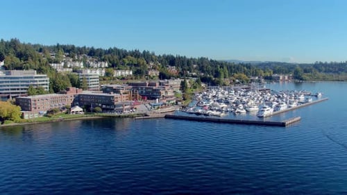 Quartier de Seattle avec le mont Rainier en arrière-plan par Drone aérien