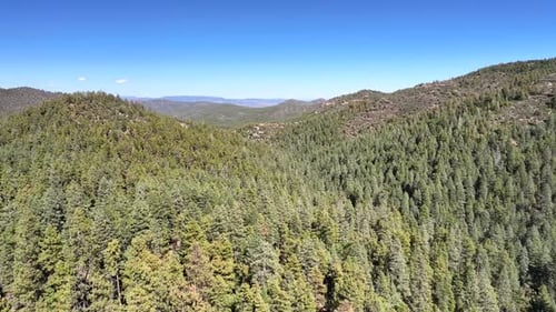 Aerial view of forested hills, United States.