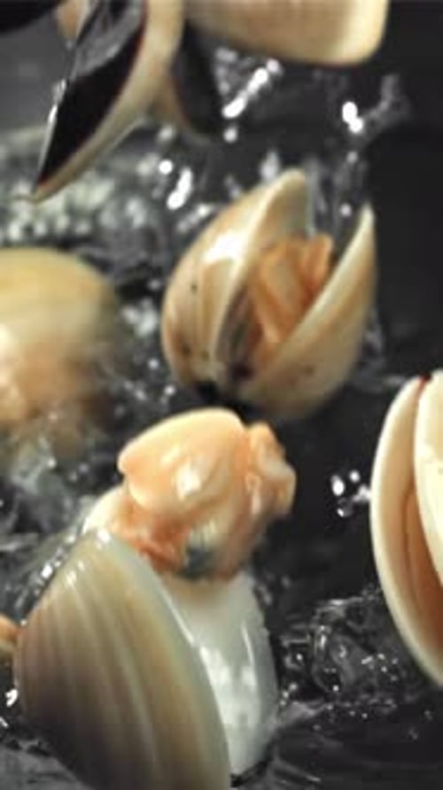 Fresh Vongole Fly Into the Pan filmé par une caméra haute vitesse à 1000 images par seconde