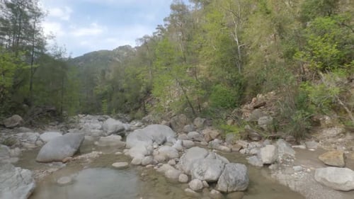 Forêt entourant un petit ruisseau avec d'énormes rochers dans un canyon, Turquie