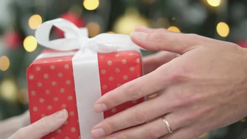 Gift Exchange Between Two People on Christmas
