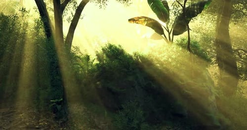 Morning Light Filters Through Lush Forest Canopy in Tranquil Setting