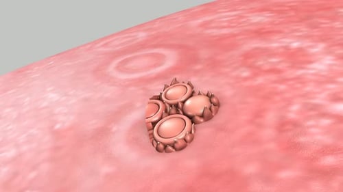 Animated 3D Microscopic Cells Pulsating on Organic Surface