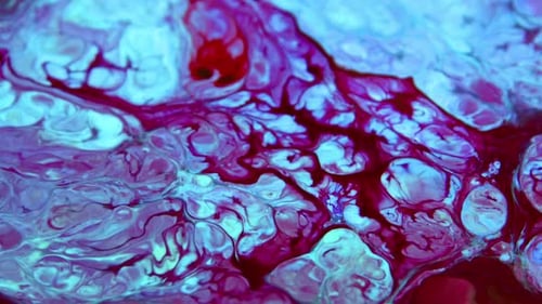 Abstract Colorful Ink Movements Spreads On Water Texture 932