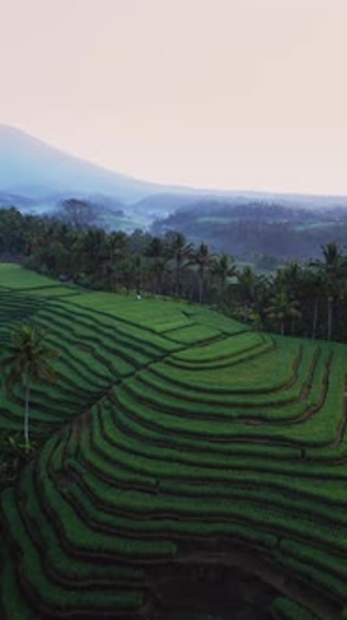 Lever de soleil sur Rice Terrace avec la montagne en arrière-plan filmé par Drone vertical et matin