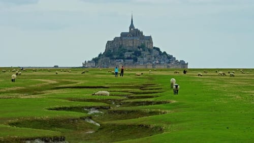 Green Meadows with Sheep Walking on Them Against the Backdrop of the Worldfamous Castleisland of