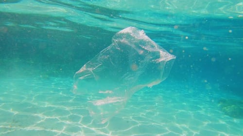 Plastic bag is floating in a sea/ocean. Plastic pollution, big environmental problem on our planet.