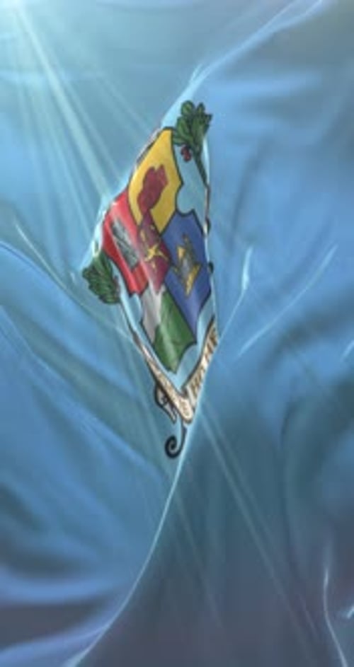 Waving Light Blue Flag with Animated Coat of Arms Reveal