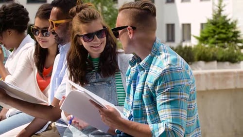 Diverse Students Study Together Outside on Sunny Day