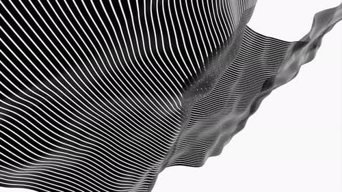 Abstract Flowing Black and White Wave Lines Motion Background