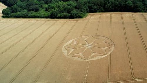 Tichborne mysterious golden farmland geometric flower pattern crop circle aerial tilt down push in v