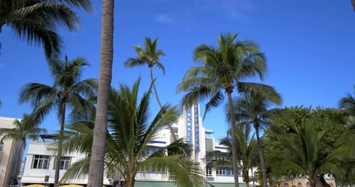 Breakwater hotel exterior sign with palm trees in sunny Miami beach Florida