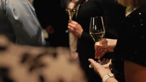 Elegant People Celebrate With Glasses at Party