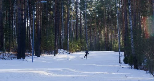 Skifahrer beim Skifahren in einer verschneiten Landschaft inmitten von Bäumen im Wald