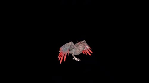Wild Crow Flapping Wings