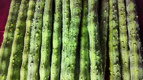 Fresh Green Drumsticks Covered in Water Droplets