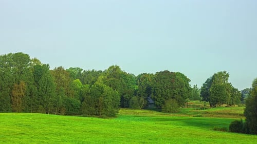 Time lapse of seasons changing, rural scene of summer turning to fall and winter