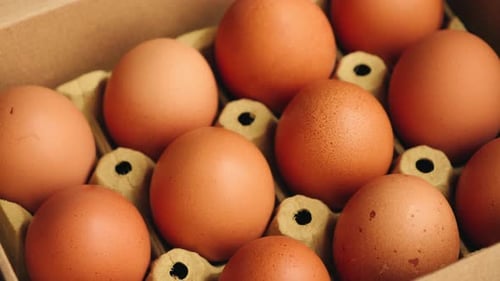 Farm fresh eggs in a delicate paper tray. Healthy nutrition and organic food concept.