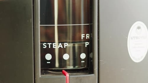 Electric Coffee Grinder Preparing to Grind Coffee in Shop Barista Making Specialty Drink
