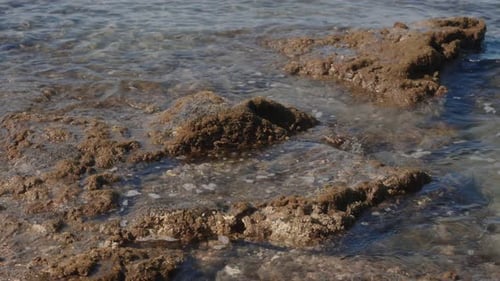 Stunning Rocky Beach View with Crashing Waves Forming Dynamic Coastal Landscape