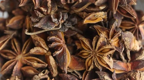Close-up of Star Anise Spice