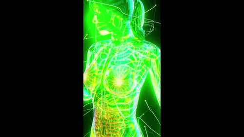 Futuristic Glowing Female Anatomy Exercise