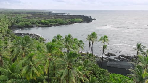 Big Island Hawaii Volcanic Black Lava Beach Drone Flying Above Green Palms