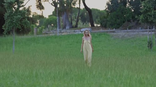 Model Walking in a Field