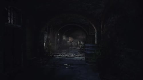 Dark and Eerie Underground Passage with Barrels and Dim Lighting