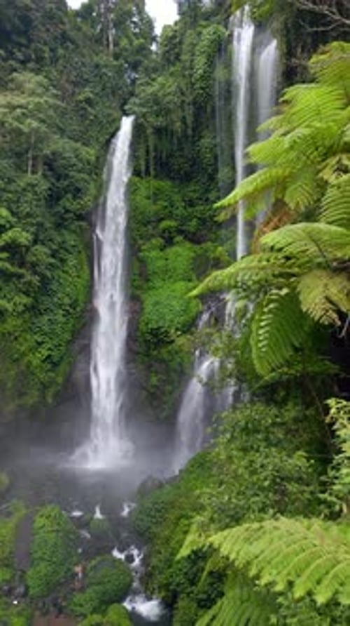 Drone View of Sekumpul Waterfall Surrounded By Tropical Jungle in Bali Indonesia