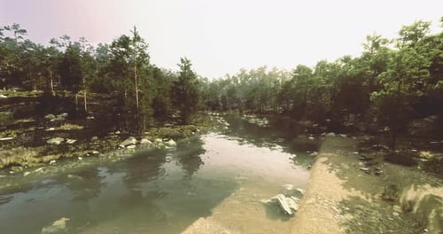 Serene River Flowing Through a Lush Forest During Golden Hour