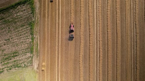 Combine harvester machine harvesting crops at farmland in Poland. Aerial top down drone shot