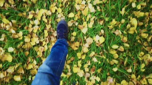 Walking Through Autumn Leaves on Green Grass