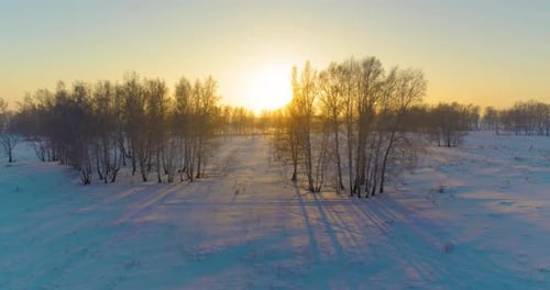 Drohnen-Luftaufnahme der kalten Winterlandschaft mit mit Frostschnee bedeckten arktischen Feldbäumen und