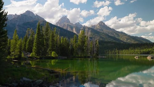 Calm Lake In The Mountains Tall Forest Trees Under Summer Cloud Skies