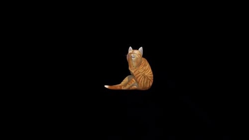 Orange Sarman Katzenreinigung